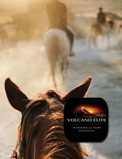 Horseback Riding Tours & Experiences