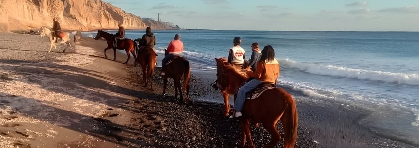 Santorini Horse Riding Tours Experiences Santorini Horse Riding Tours Experiences